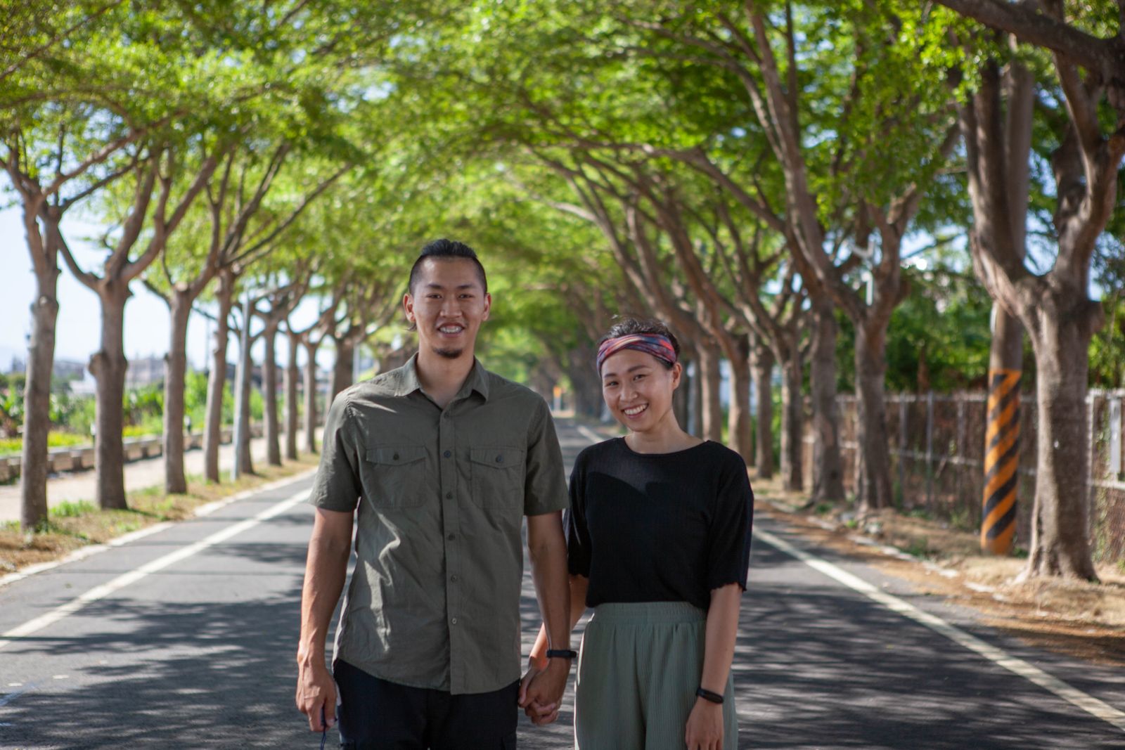 A tree-lined walk